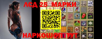 прущие крисы Кандалакша